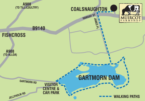 walking path between Gartmorn Dam and Muircot Farmshop